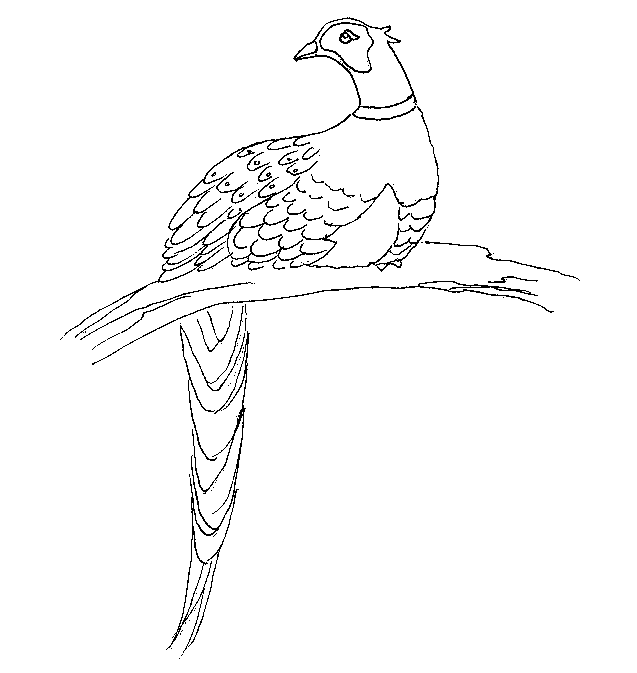 peasant coloring pages - photo #28